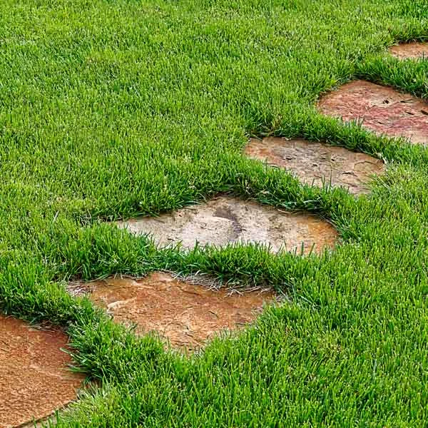 Piedra laja en pisos